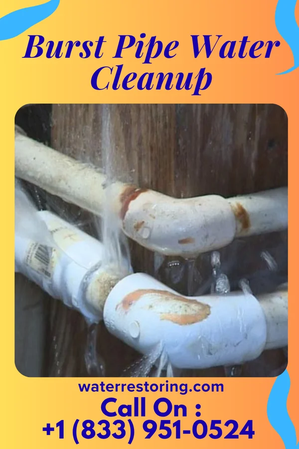Burst Pipe Water Cleanup in Monongahela, PA