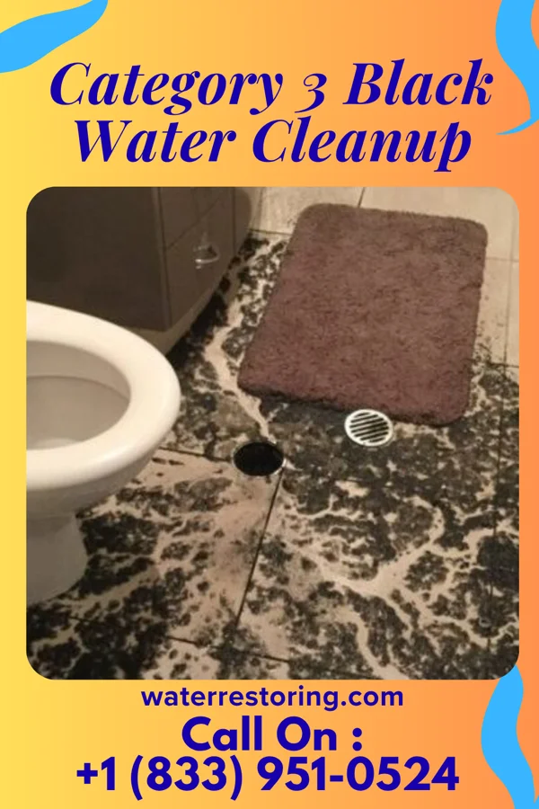 Category 3 Black Water Cleanup in Monongahela, PA