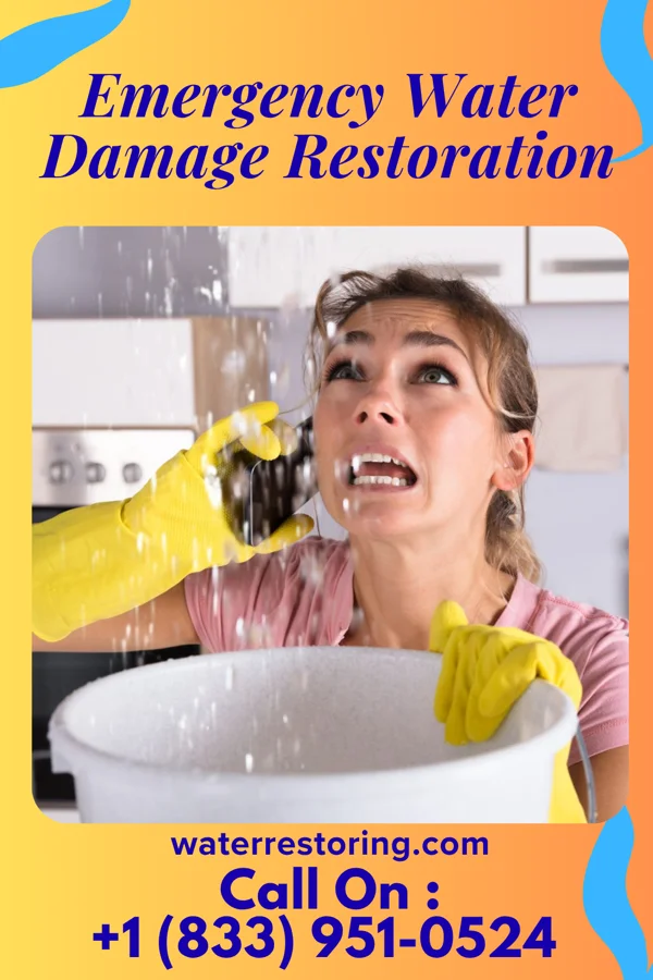 Emergency Water Damage Restoration in Monongahela, PA