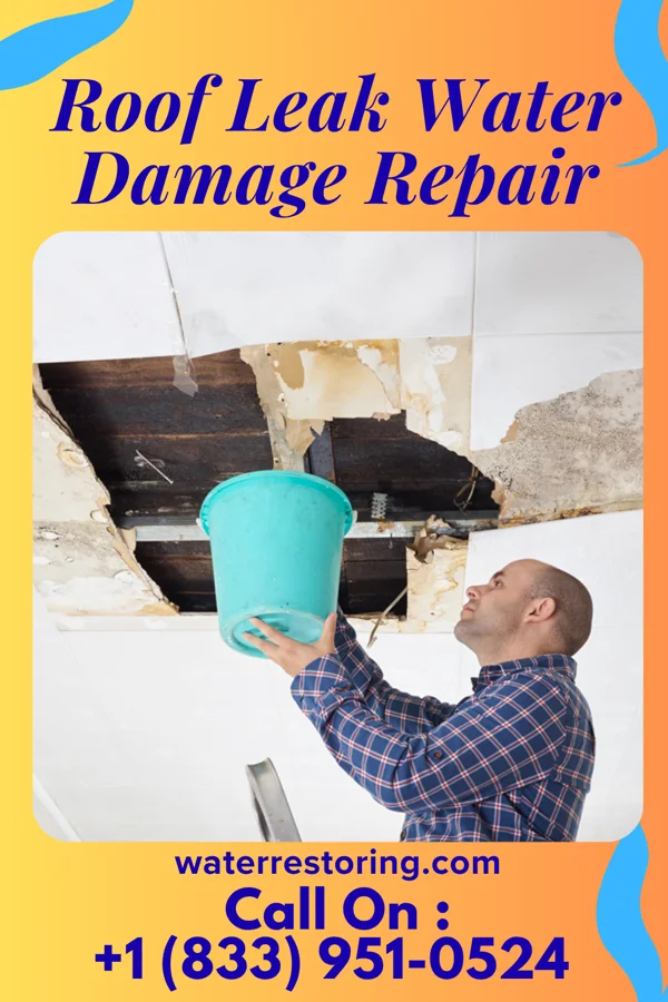 Roof Leak Water Damage Repair in Monongahela, PA